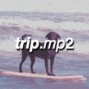 (POST-PUNK, SURF ROCK, BEDROOM POP) trip.mp2