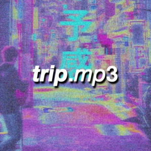 (INDIE-ROCK, POP-ROCK, BEDROOM POP) trip.mp3