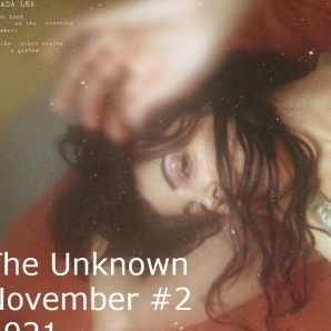 The Unknown november #2