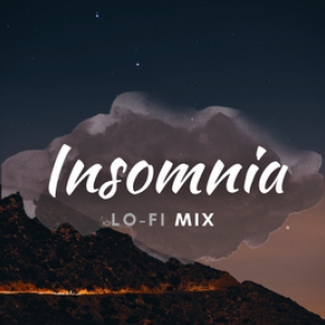 Late Insomnia ???? | Relaxing Lofi Instrumental Mix | 2022 |