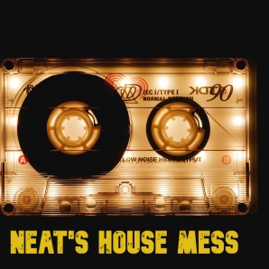 Neat's House Mess