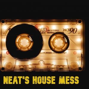 Neat's House Mess