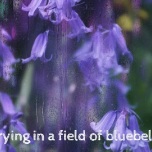 Crying in a field of bluebells