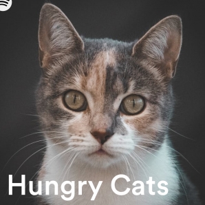 Hungry Cats