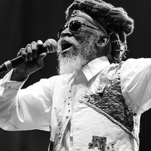 Bunny Wailer - The Remaining Brother