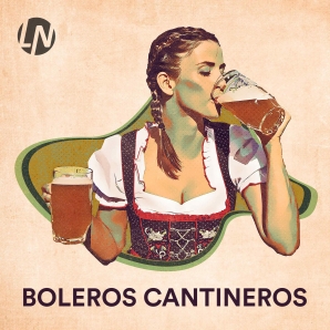 Boleros Cantineros ???? Mix de Boleros Inolvidables Antiguos