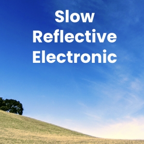 Slow Reflective Electronic