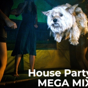 15+ Hours Party Mix