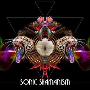 Sonic Shamanism