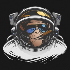 Space Monkeys