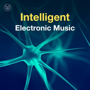 Intelligent Electronic Music (IDM)