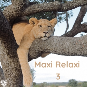 Maxi Relaxi 3