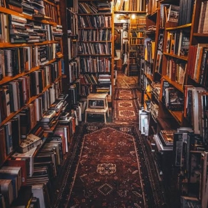 the old bookstore 
