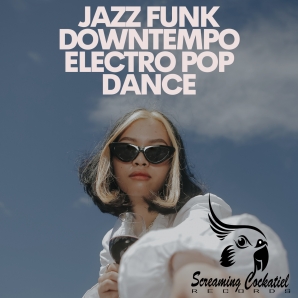 Jazz Funk Downtempo Electro Pop Dance Vibes