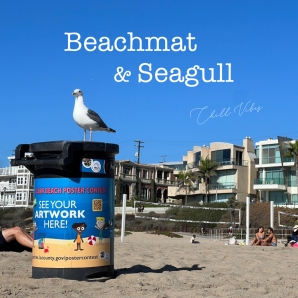 Beachmat & Seagull ???? chill vibes