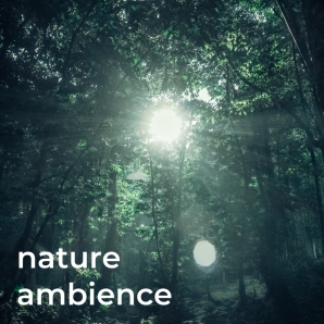 Nature Ambience