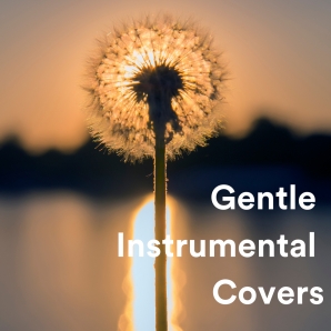 Gentle Instrumental Covers