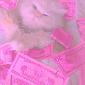 You're rich and loves pink