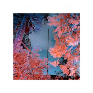 Exploratory Echoes