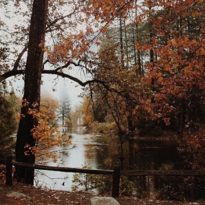 acoustic walk