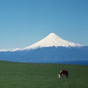 Minimal