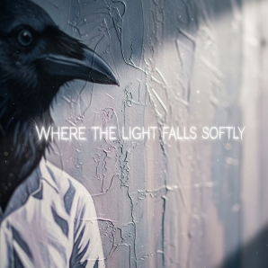 Where the Light Falls Softly