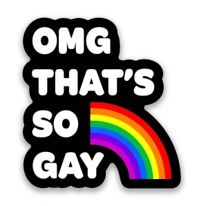 OMG! YOU'RE SO GAY