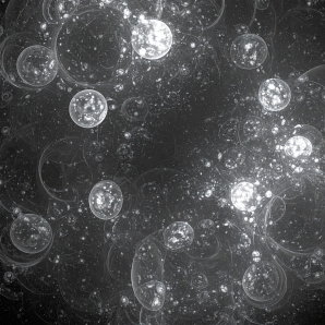 Thrills and Tears through a Dark Night